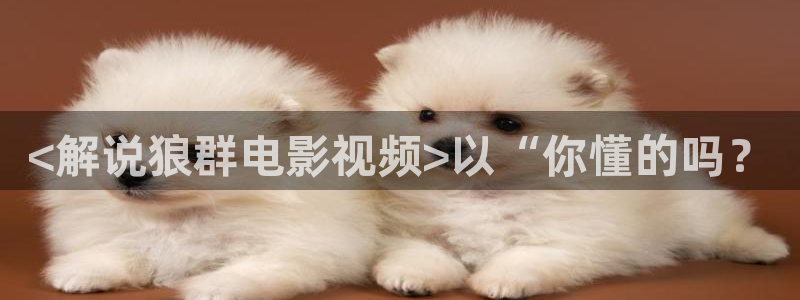 茄子视频视频