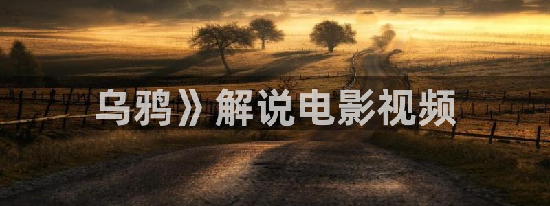 茄子视频视频