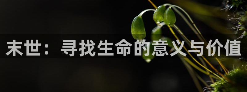 91茄子视频