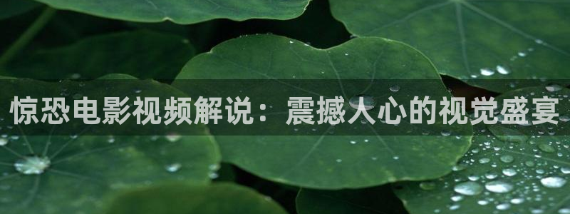 茄子视频a