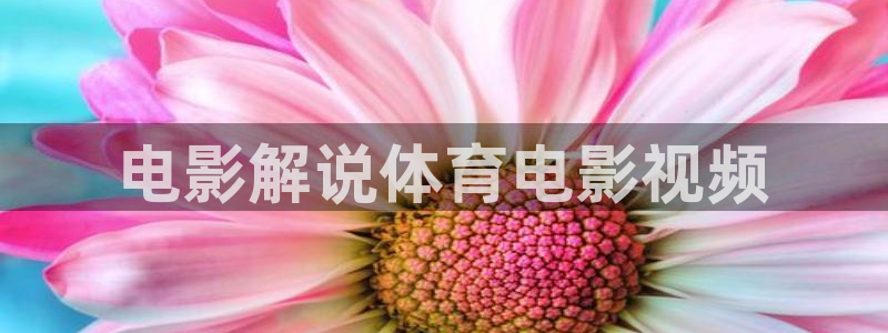 茄子视频了