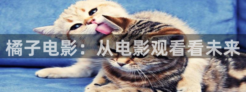 茄子视频无限看丝瓜视频丝瓜视免费观看