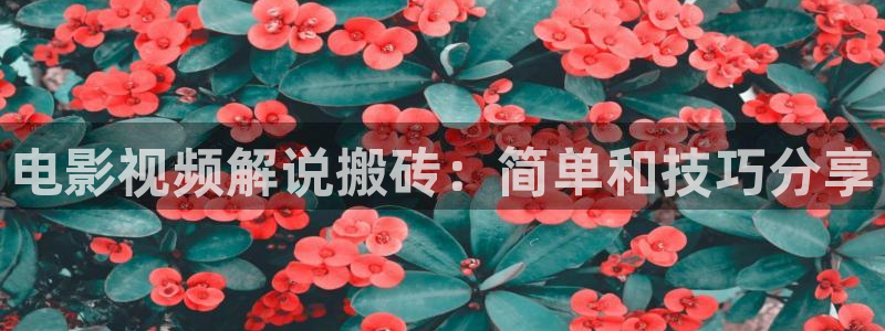 茄子视频视频