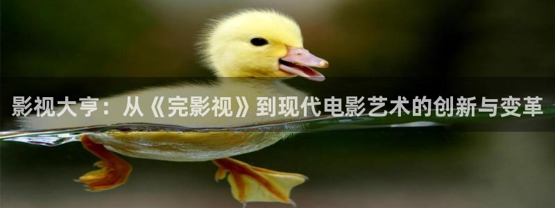 丝瓜茄子视频在线观看