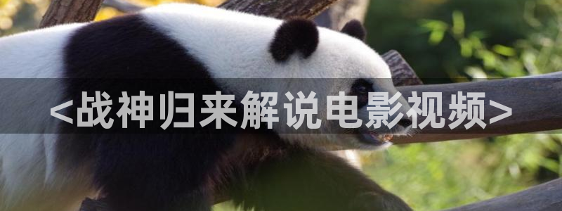 茄子视频?