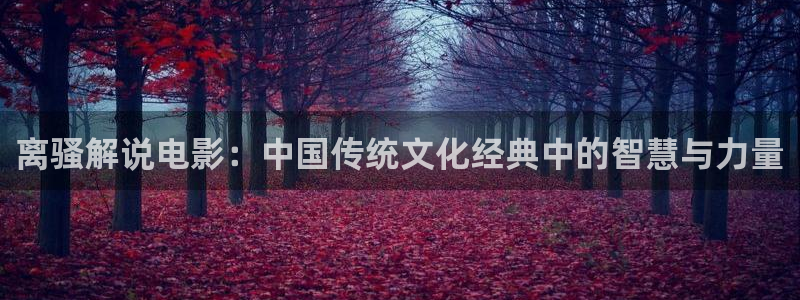 茄子视频www