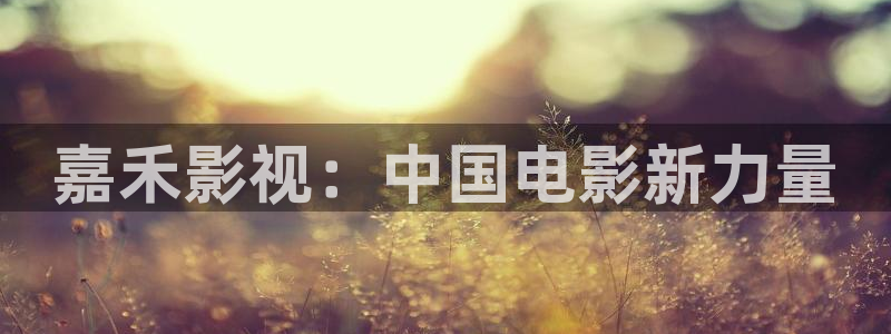 茄子视频一