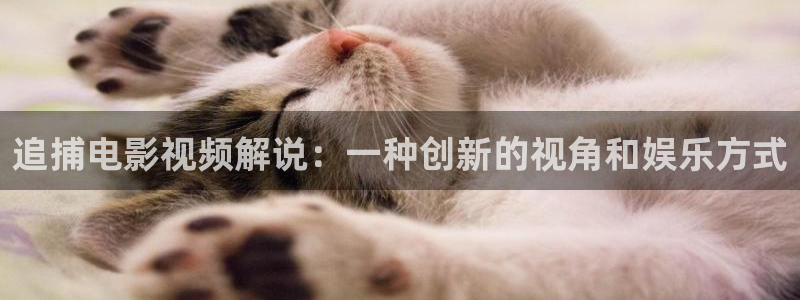 茄子视频一