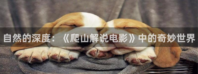 茄子视频www