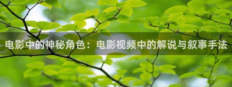 樱桃茄子视频