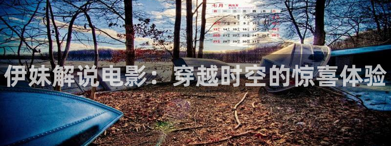 大茄子视频