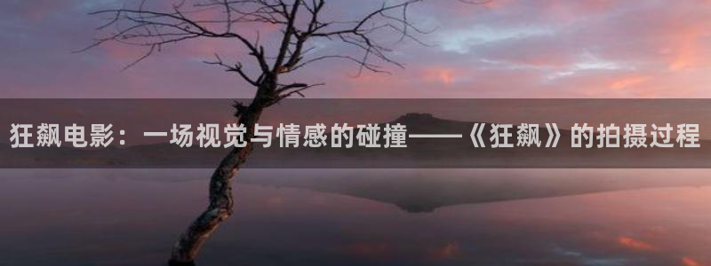 大茄子视频