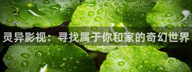 茄子视频qz