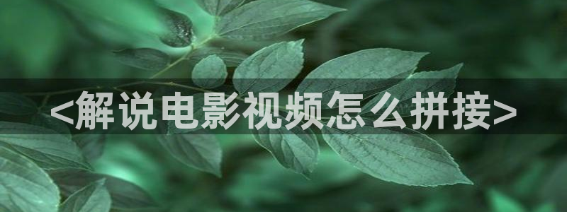 91茄子视频