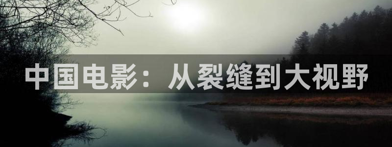 茄子视频视频