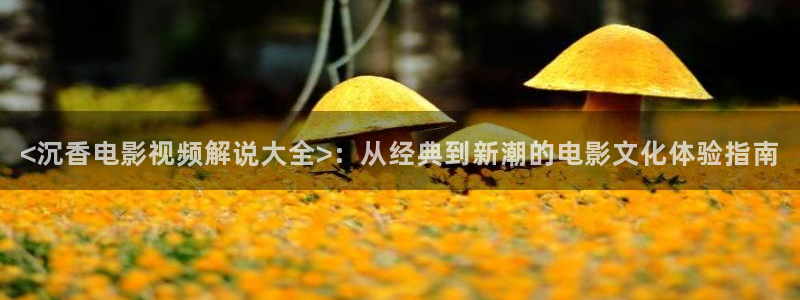 茄子视频