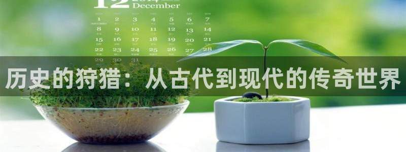 樱花视频茄子视频