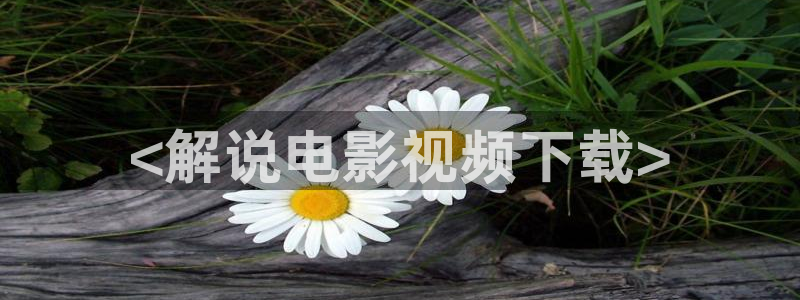 茄子视频18
