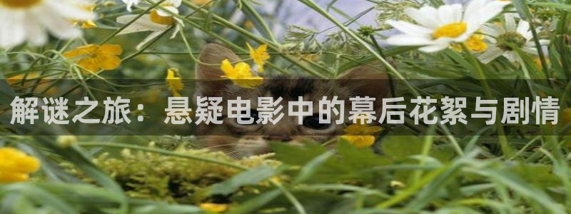 茄子视频?